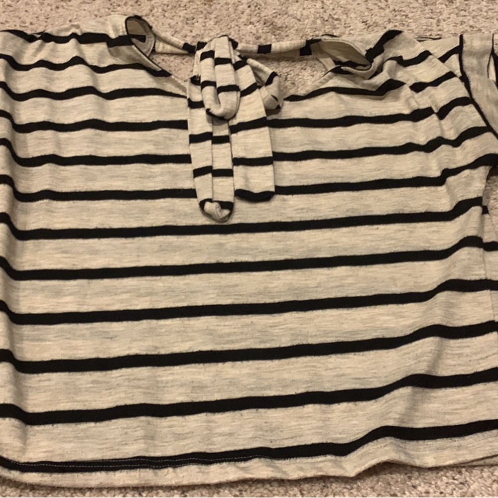 Charlotte Russe crop top (medium)